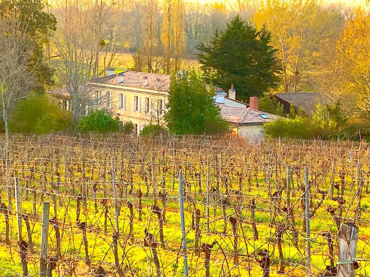 Fabuleux - Domaine Du Moulin D'Andraut Bordeaux-Chevaux-Golf-St Emilion Villa Montussan Dış mekan fotoğraf
