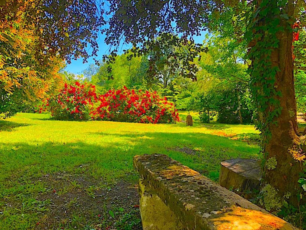 Fabuleux - Domaine Du Moulin D'Andraut Bordeaux-Chevaux-Golf-St Emilion Villa Montussan Dış mekan fotoğraf