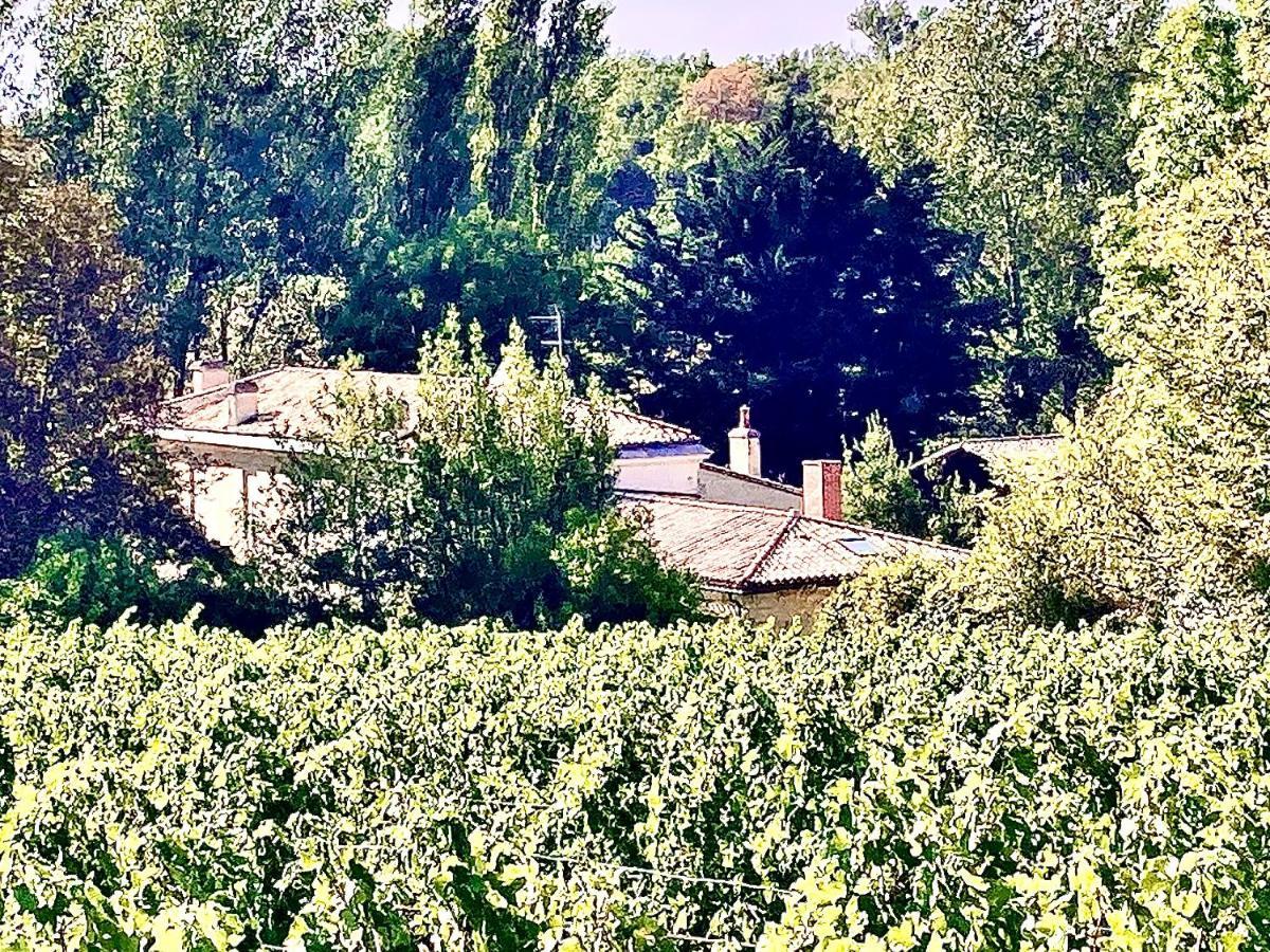 Fabuleux - Domaine Du Moulin D'Andraut Bordeaux-Chevaux-Golf-St Emilion Villa Montussan Dış mekan fotoğraf